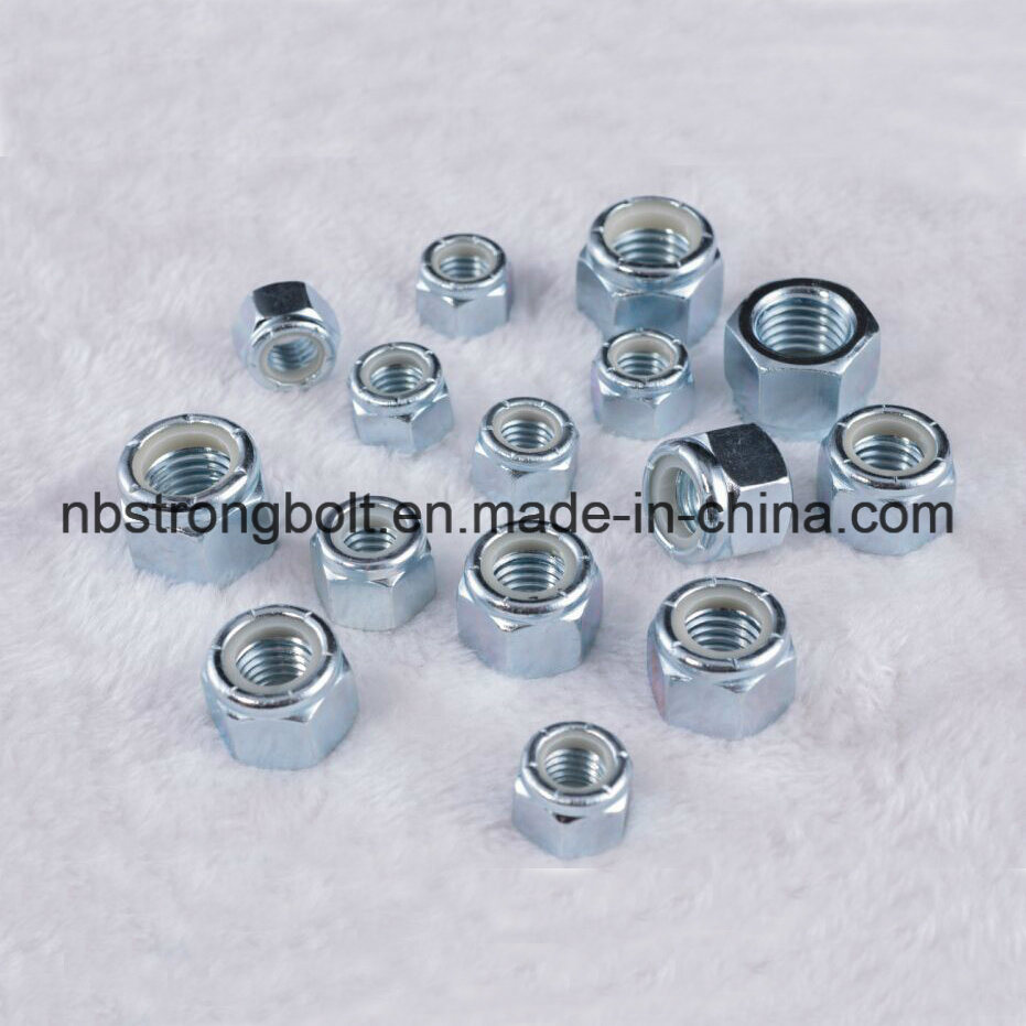 Hex Nylon Lock Nut with White Ring