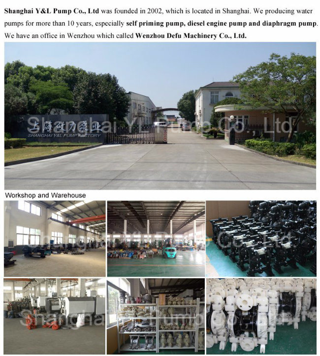 Manual Small Slurry Mini High Pressure Air Diaphragm Pump