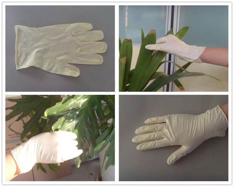 Ce and ISO13485 Approved Surgical Vinyl Gloves Power Free with Cheap Price
