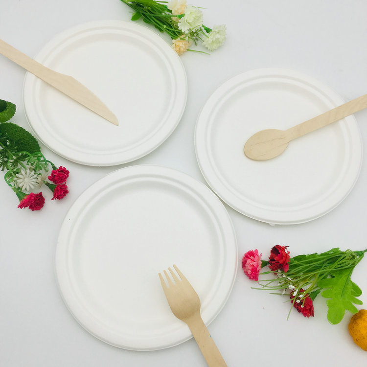 Custom Size Round 100% Biodegradable Paper Pulp Disposable Plates for Restaurant