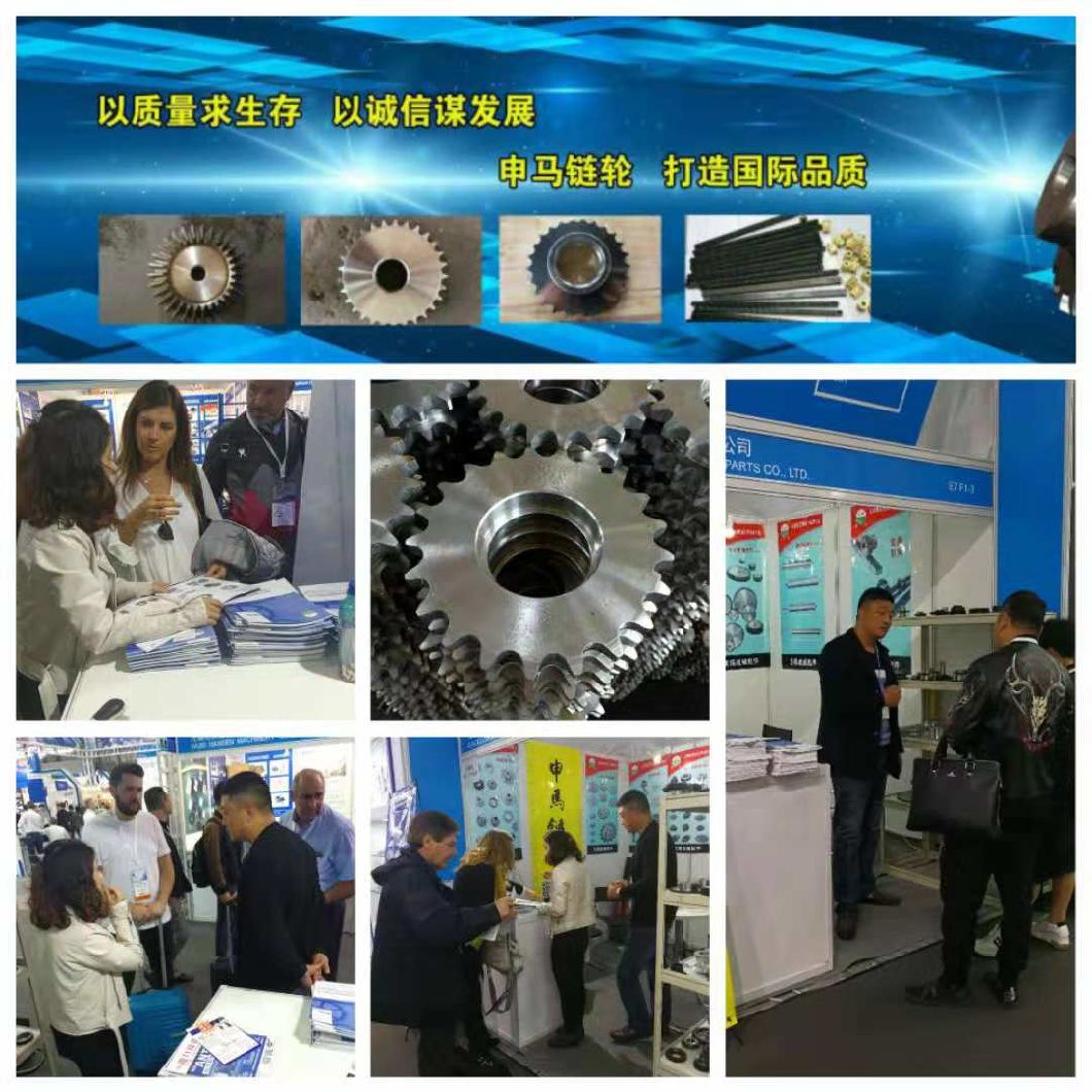 Customized Industrial JIS Forged Stainless Metal Steel Toothed Spur Sprocket Gear Wheel