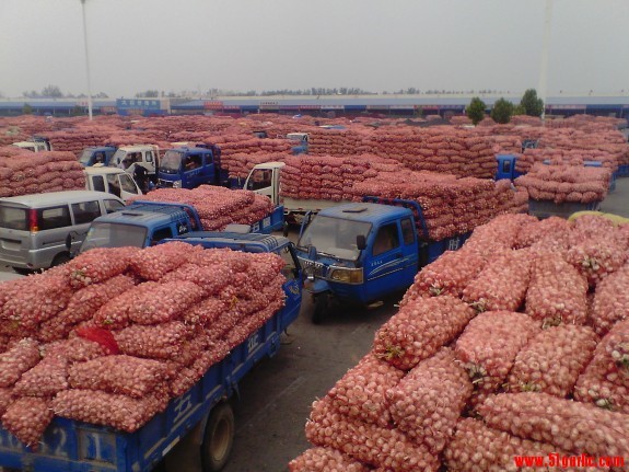 Jinxiang Victorious Fruit And Vegetable Trade Co.,Ltd Brief Introduction on Company Jinxiang Victorious Fruit and Vegetable Trade CO.,LTD., founded in 2010, is a world-wide fruits and vegetables supplier in China. After 7 years' growth,we have set up a perfect management system of production and exporting and become a leading company in manufacture and export of garlic, onion, fruits, vegetables and dehydrated garlic and so on. Our company is located at Jinxiang county which is well-known worldwide as the hometown of garlic; it is also very convenient to go to Qingdao port and Lianyungang port from the county. Our company is a comprehensive import and export agriculture processing enterprise. Different from other trading companies, we directly produce goods for exportation, so we are familiar with details of production and exportation, and we can make some adjustments quickly according to our customers' requests. Our company covers an area of 20,000 square meters and has six large-size thermostatic cold storage ware-houses with a capacity of 5000t for freezing and keeping products. We have built one-thermostatic processing warehouse to meet the quality requirement of raw materials for production and processing. Our company values the quality of products most, which is reflected in the way we do business. This is how we have developed good relations with lots of customers abroad and why our products are popular in Japan,Germany,Holland,Canada, Mauritius, Egypt, Algerians, Korea,UK,Africa and others 150 countries. Always acting legally and honestly, our company has been recognized by our customers both at home and abroad. We have a complementary fruits and vegetables portfolio that enables us to provide more choices for our customers, and drives lower costs, productivity enhancements and new capabilities. Fuelled by the desire for sustainable development and innovation, we are confident that our company will become stronger and stronger, and our products will become more and more popular across the world. We welcome friends all over the world to come to visit and cooperate with us! Jinxiang Victorious Fruit And Vegetable Trade Co.,Ltd Brief Introduction on Company Jinxiang Victorious Fruit and Vegetable Trade CO.,LTD., founded in 2010, is a world-wide fruits and vegetables supplier in China. After 7 years' growth,we have set up a perfect management system of production and exporting and become a leading company in manufacture and export of garlic, onion, fruits, vegetables and dehydrated garlic and so on. Our company is located at Jinxiang county which is well-known worldwide as the hometown of garlic; it is also very convenient to go to Qingdao port and Lianyungang port from the county. Our company is a comprehensive import and export agriculture processing enterprise. Different from other trading companies, we directly produce goods for exportation, so we are familiar with details of production and exportation, and we can make some adjustments quickly according to our customers' requests. Our company covers an area of 20,000 square meters and has six large-size thermostatic cold storage ware-houses with a capacity of 5000t for freezing and keeping products. We have built one-thermostatic processing warehouse to meet the quality requirement of raw materials for production and processing. Our company values the quality of products most, which is reflected in the way we do business. This is how we have developed good relations with lots of customers abroad and why our products are popular in Japan,Germany,Holland,Canada, Mauritius, Egypt, Algerians, Korea,UK,Africa and others 150 countries. Always acting legally and honestly, our company has been recognized by our customers both at home and abroad. We have a complementary fruits and vegetables portfolio that enables us to provide more choices for our customers, and drives lower costs, productivity enhancements and new capabilities. Fuelled by the desire for sustainable development and innovation, we are confident that our company will become stronger and stronger, and our products will become more and more popular across the world. We welcome friends all over the world to come to visit and cooperate with us!