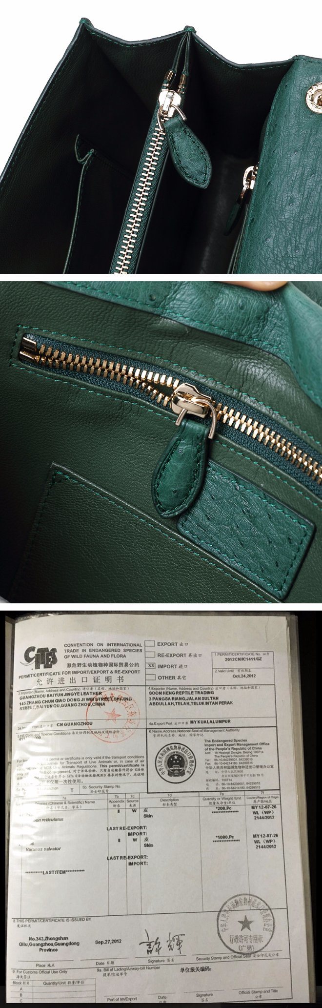 Famous Brand Design Top Quality Real Green Ostrich Skin Leather Sling Bag for Ladies