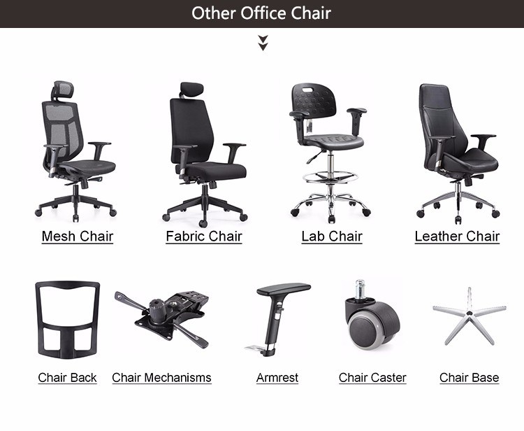 Chaise De Laboratoire Testing Room Laboratory Furniture Height Adjustable ESD Lab Chair
