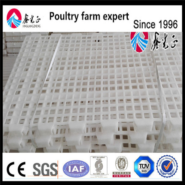 ABS Material Chicken Plastic Slat Flooring System