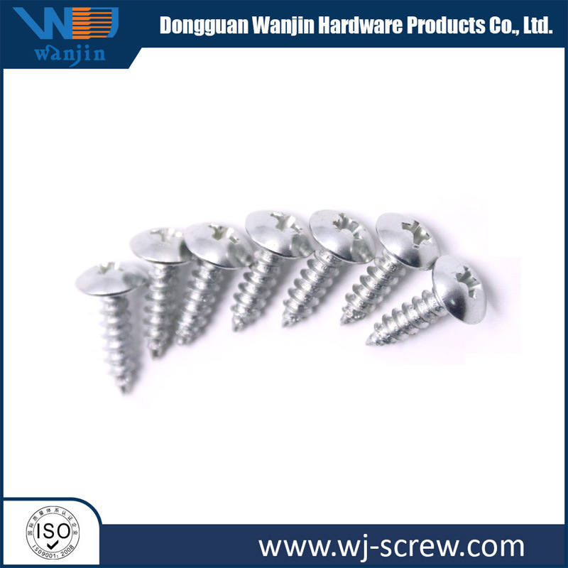 Customized Made Aluminum Stainless Steel Self-Tapipng Screw