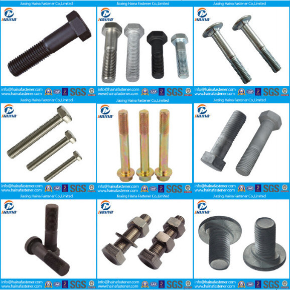 HDG Grade 8.8 Square Neck Carriage Bolt