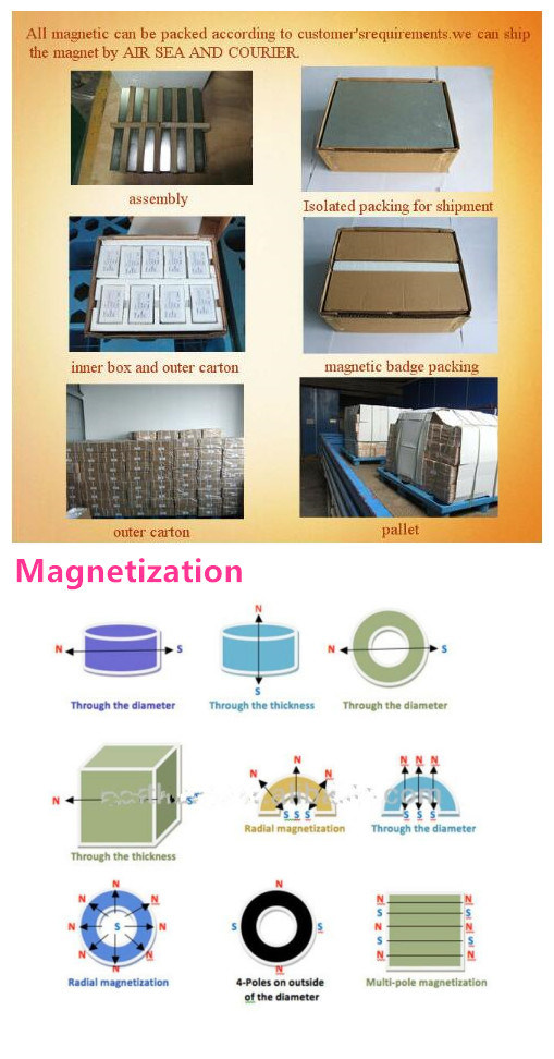 Ring/Block NdFeB Magnet Ring/Block Neo Magnet for Speaker/Motor