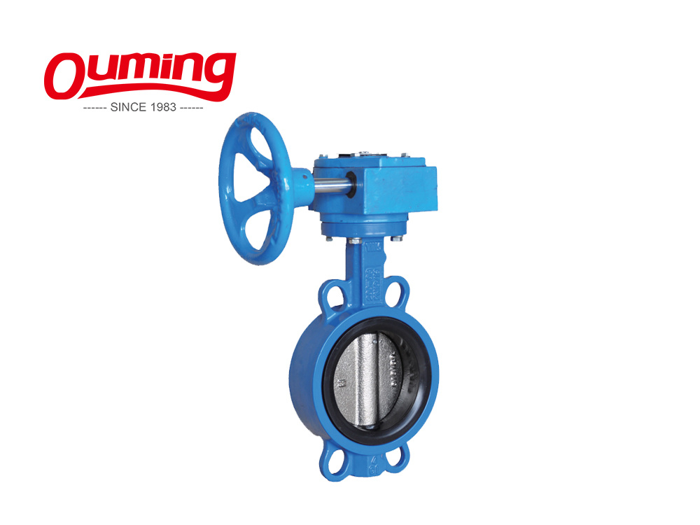 High Quality Epoxy Coating Cast Iron Luge Type Butterfly Valves