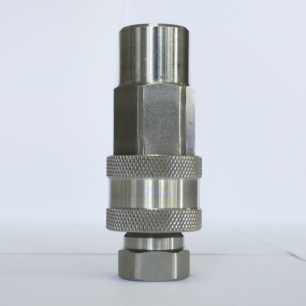 Nwb Series SS304 /316L Hose Fitting Hydraulic Quick Coupling (stainless steel)