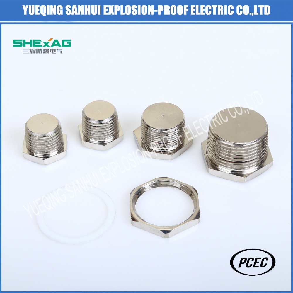 Stainless Steel Hex Plug (Threaded pipe fittings)