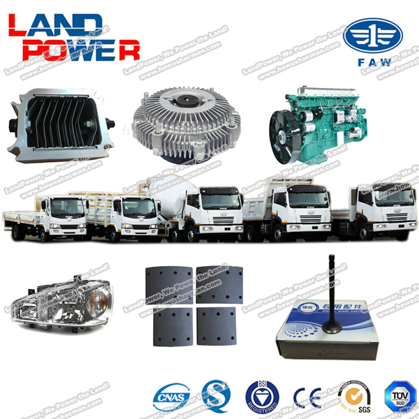 Original FAW Spare Parts with SGS Certification and Competive Price (1307020B29D Water Filter)