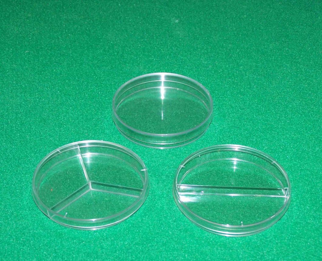 100 Mm Tissue Culture Dishes