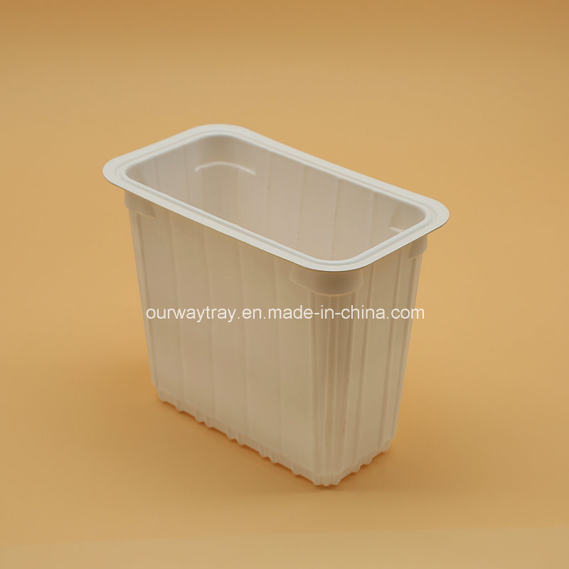 Environmental Friendly Food Plastic Blister Container