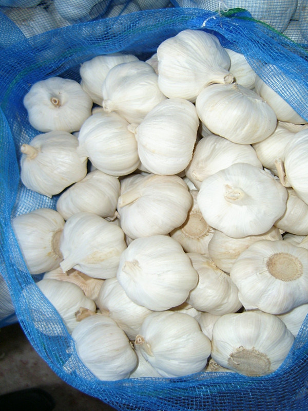 2018 New Crop Fresh Pure White Garlic