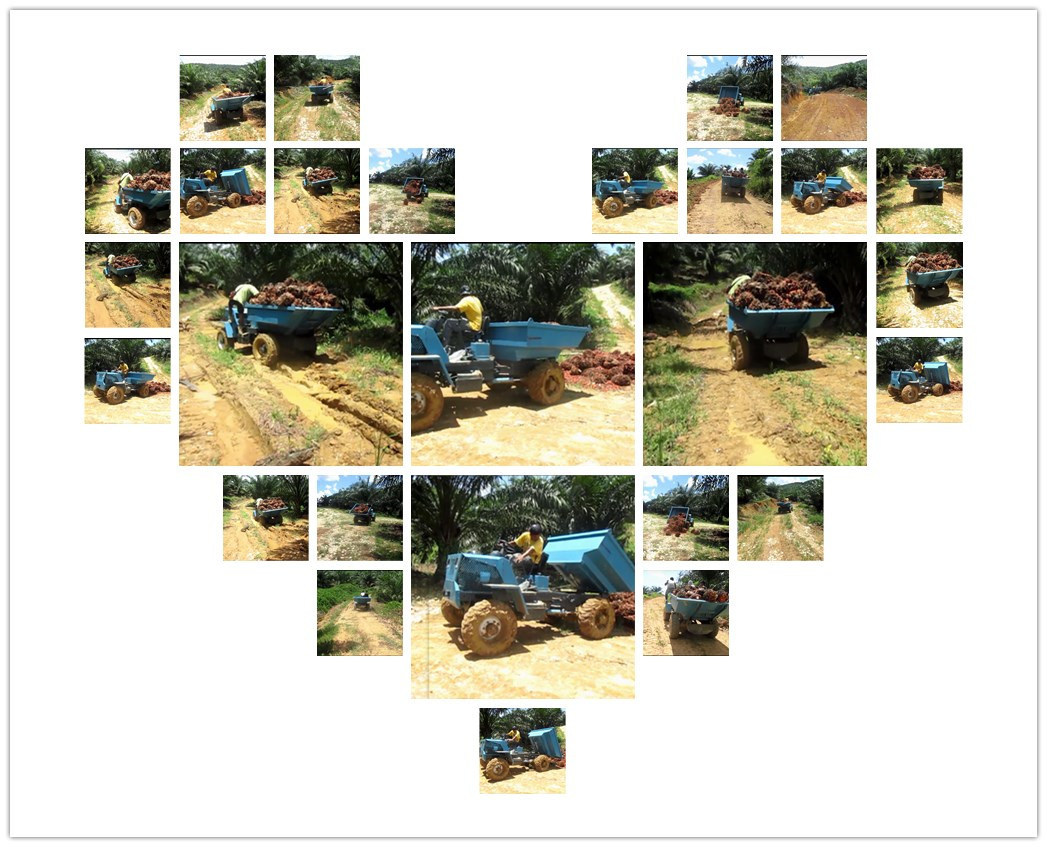 Palm Oil Plantation Use Small Wheel Tractor (4 Wheels) Power Tiller