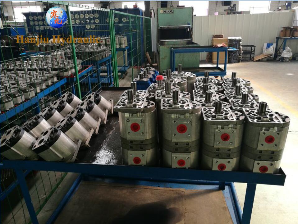 The CBS-D300 Gear Pump Is Mainly Used for Hydraulic Push Rod