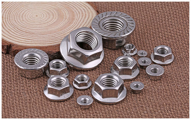 Non-Standard Stainless Steel Hexagon Head Hex Flange Nut