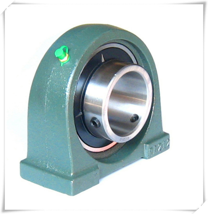 Auto Bearing Ucpa207-20 Pillow Block Bearing /Bearing Housing