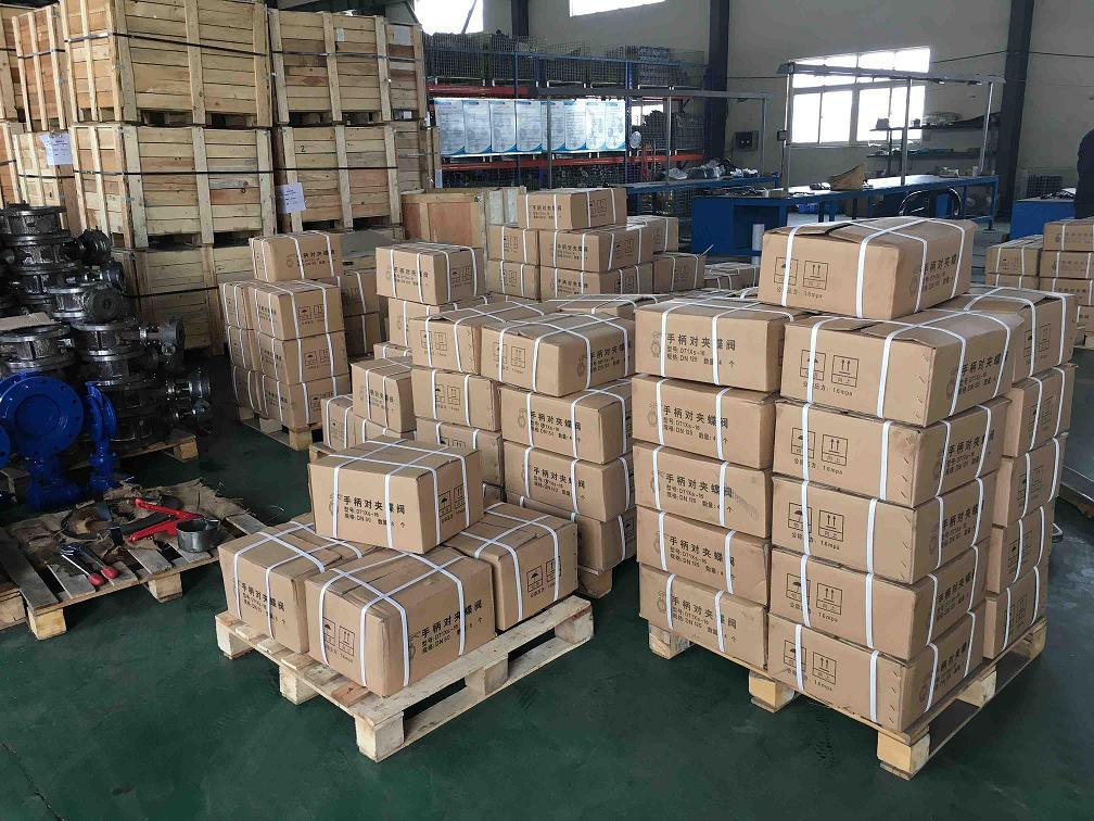 Dn700 API/JIS10K Wafer Type Butterfly Valve with Gear Actuator