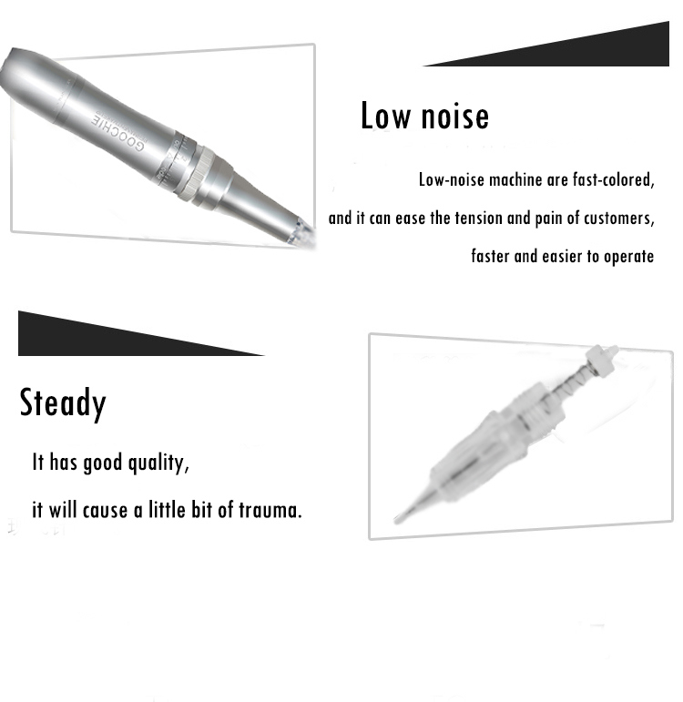 Goochie Newest G6 Machine for Permanent Makeup