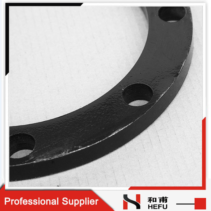 PE Pipe Nylon Coated Flat Carbon Stainless Steel Flange Plate