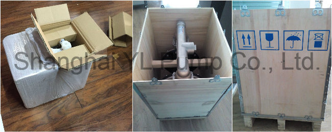 Stainless Steel Mechanical Dosing Pneumatic Diaphragm Pump for Solvent