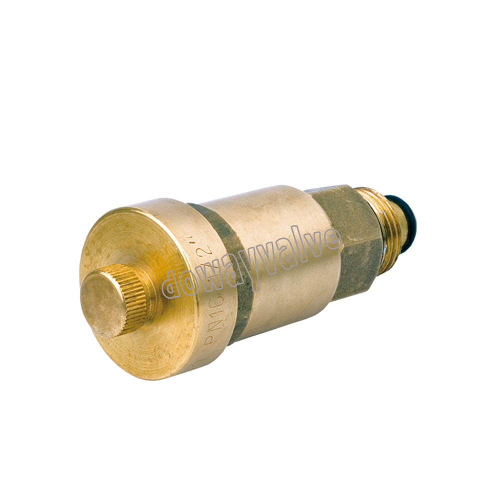 Pn16 Design Vertical Type Auto Air Vent Valve