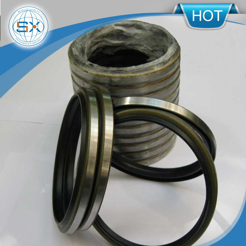 Standard and Non-Standard Dkb/Dkbi Dust Hydraulic Cylinder Seal