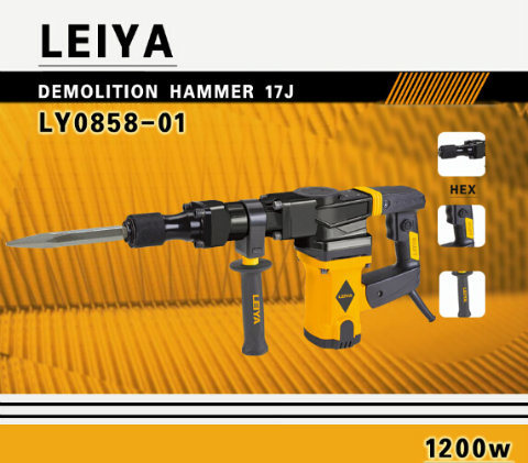 17mm 1200W Professional Demolition Hammer (LY0858-01)