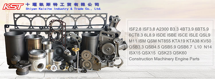 Qsb5.9 Cummins Diesel Engine Fuel Injection Pump 0445120060 4897271 2830221 5255184