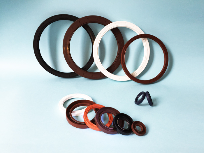 601783standard and Nonstandard NBR Viton Oil Seal for Industrial Parts Taiwan