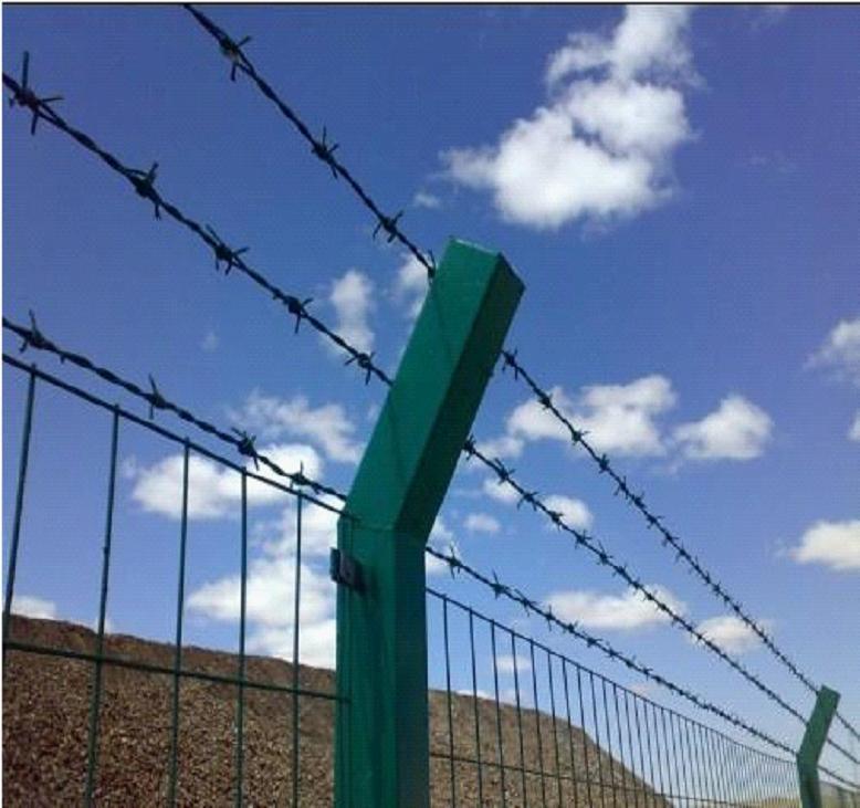 Galvanized Barbed Wire with PVC Coated