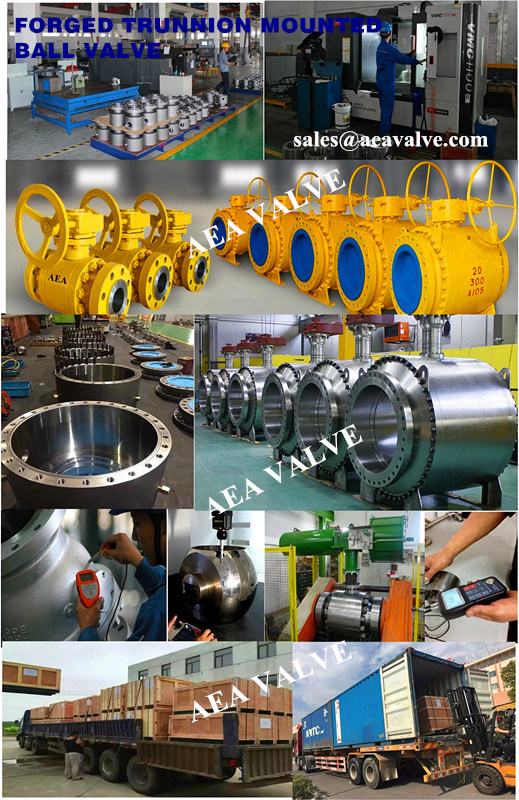 Bi-Directional Duplex and Super Duplex Steel ISO 5208 Rate a Peek Devlon Nylon Soft Seated Self-Relieving Seat Trunnion Mounted Ball Valve