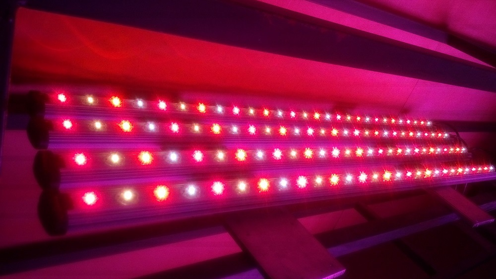 Waterproof Vegetable Cultivating LED Grow Light Bar