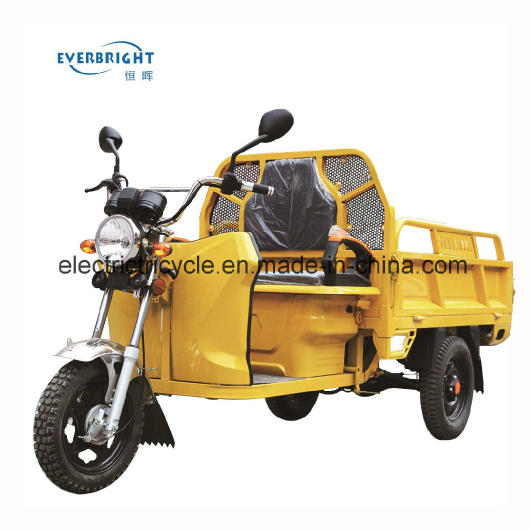 China Three Wheel 48V800W Pedal Electric Farm Cargo Bike Tricycle