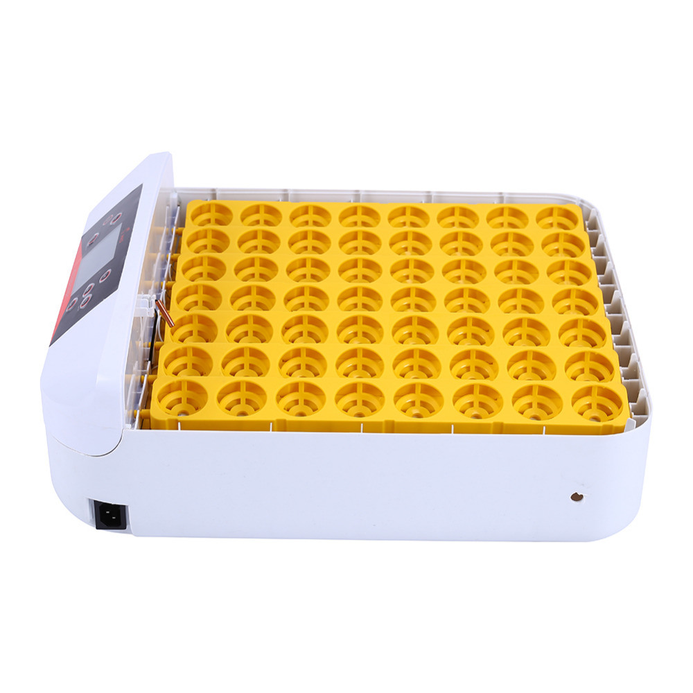 Hhd Automatic 56 Chicken Eggs Incubator with LED Light