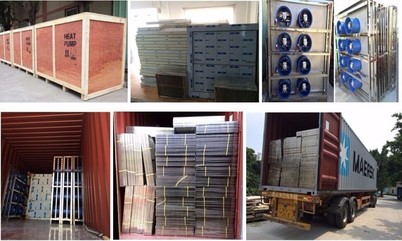 300 Kg Per Batch Fruits and Vegetable Drying Equipment, Dryer Cabinet