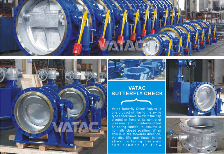 Cast Steel RF Flanged Butterfly Check Valve