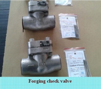 Extra Cryogenic (-196 Centigrade) Series Check Valve