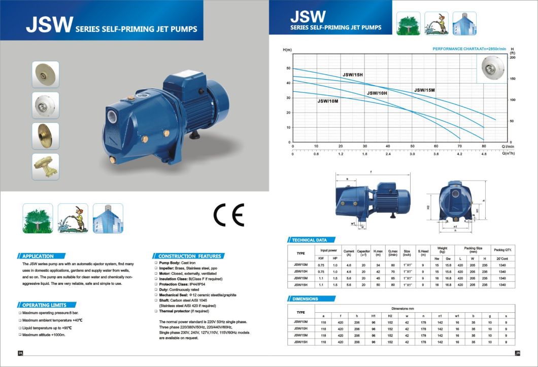 Jsw/10h High Quality Electric Water Pumps, Electric Pump Self Priming Pump for Sea Water