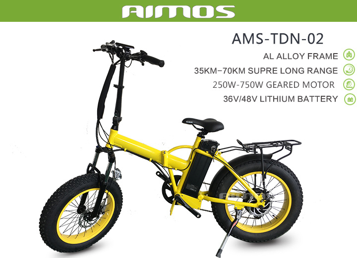 48V500W Electric Bike Fat Tire