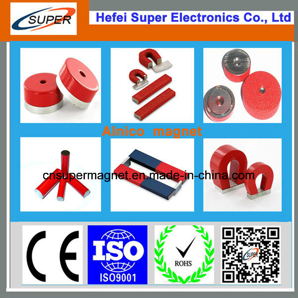 Hot Sale Various Shape of Ainico Magnet