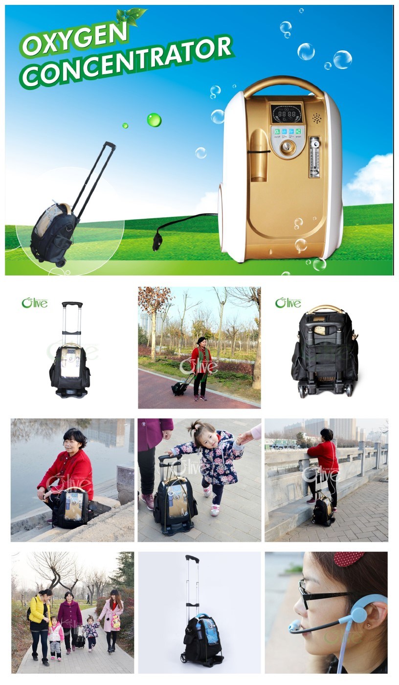 Small Portable Battery Oxygen Concentrator with Rechargeable Battery