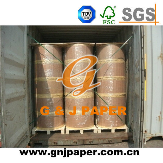 100% Wood Pulp Carbonless Paper Reel in China