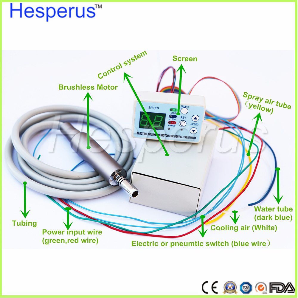 Dental Unit Clinical Build-in Micromotor with Light and Water Hesperus