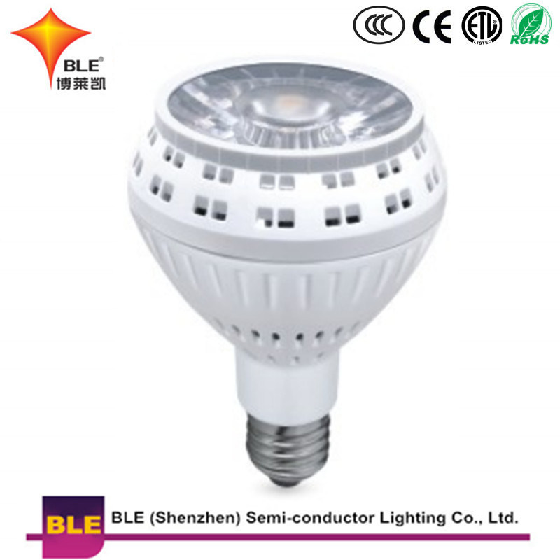 LED PAR30 Warm White 33W LED Flat PAR Light