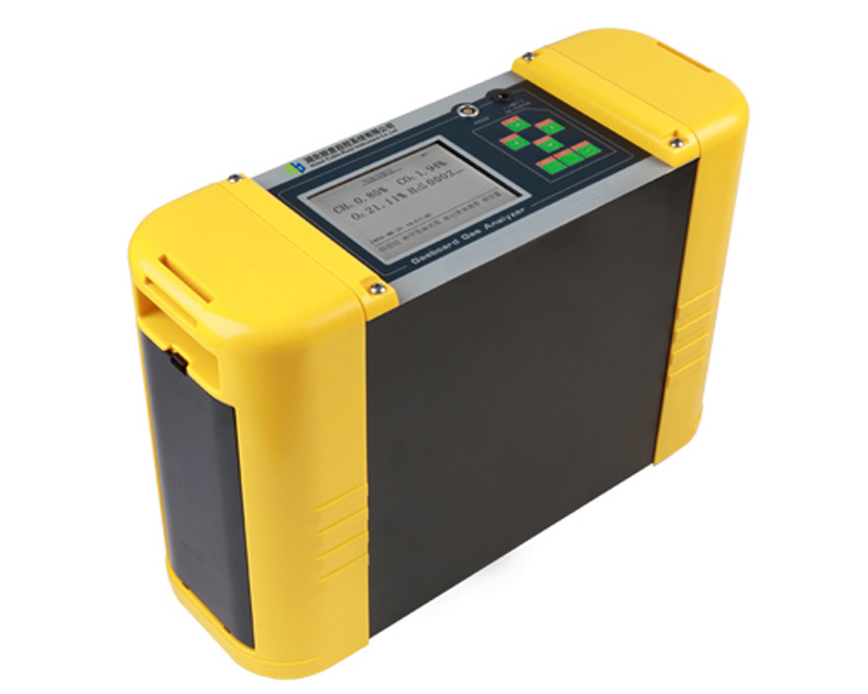 Portable Infrared Biogas Analyzer/Gas Analyzer/Analytical Instrument