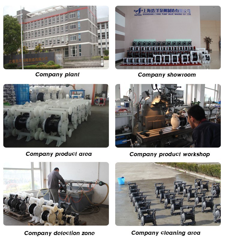 Aluminum Circulation Ink Diaphragm Pneumatic Pump