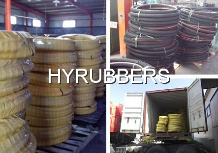 Hydraulic Hose Assembly, High Pressre Hose with Fittings